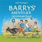 Dulce Rodrigues - Barrys Abenteuer
