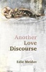 Edie Meidav - Another Love Discourse