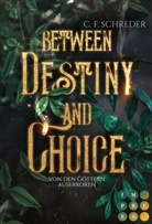C F Schreder, C. F. Schreder - Between Destiny and Choice. Von den Göttern auserkoren