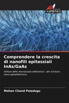 Mohan _hand Paladugu, Mohan ¿hand Paladugu - Comprendere la crescita di nanofili epitassiali InAs/GaAs