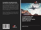 Larisa Orlova - La questione del miglioramento dell'efficienza dello spazio aereo