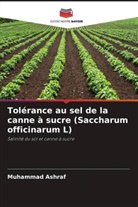 Muhammad Ashraf - Tolérance au sel de la canne à sucre (Saccharum officinarum L)
