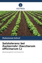 Muhammad Ashraf - Salztoleranz bei Zuckerrohr (Saccharum officinarum L)