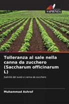 Muhammad Ashraf - Tolleranza al sale nella canna da zucchero (Saccharum officinarum L)