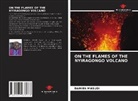 Damien Masudi - ON THE FLAMES OF THE NYIRAGONGO VOLCANO