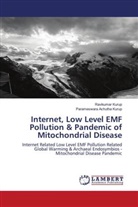 Parameswara Achutha Kurup, Ravikumar Kurup - Internet, Low Level EMF Pollution & Pandemic of Mitochondrial Disease