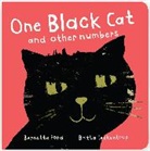 Bernette Ford, Britta Teckentrup - One Black Cat and Other Numbers