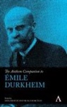Gregor Fitzi, Gregor Marcucci Fitzi, Fitzi, Gregor Fitzi, Marcucci, Nicola Marcucci - Anthem Companion to Emile Durkheim