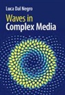 Luca Dal Negro, Luca (Boston University) Dal Negro, Dal Negro Luca - Waves in Complex Media