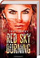 Teri Terry, Wolfram Ströle - Red Sky Burning (Bd. 2)