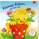 Sabine Kraushaar, Sabine Kraushaar - Mein erstes Gucklock-Fühlbuch: Kleines Küken, wo bist du?