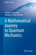 Wladimir G Boskoff, Wladimir-Georges Boskoff, Salvator Capozziello, Salvatore Capozziello - A Mathematical Journey to Quantum Mechanics