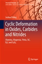 Joshua Pelleg - Cyclic Deformation in Oxides, Carbides and Nitrides