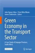 Peter Bitta Bikam, Pete Bitta Bikam, Peter Bitta Bikam, James Chakwizira, John Ogony Odiyo - Green Economy in the Transport Sector