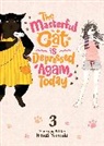 Hitsuji Yamada, Hitsuzi Yamada - The Masterful Cat Is Depressed Again Today Vol. 3