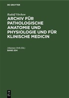 Rudolf Virchow, Johannes Orth - Rudolf Virchow: Archiv für pathologische Anatomie und Physiologie und für klinische Medicin - Band 204: Rudolf Virchow: Archiv für pathologische Anatomie und Physiologie und für klinische Medicin. Band 204