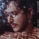Oscar and the Wolf - The Shimmer, 1 Audio-CD (Audio book)