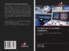Luis Ángel, Jairo Viola - Fondamenti di controllo frazionario