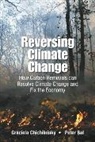 Peter Bal, Bal Peter, Graciela Chichilnisky, Chichilnisky Graciela, Graciela Chichilnisky, Graciela Chichilnisky &amp; Peter Bal... - Reversing Climate Change: How Carbon Removals Can Resolve Climate Change And Fix The Economy