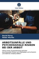 Heber Murillo, Davi Pérez, David Pérez - ARBEITSUNFÄLLE UND PSYCHOSOZIALE RISIKEN BEI DER ARBEIT