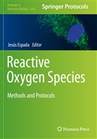 Jesú Espada, Jesús Espada - Reactive Oxygen Species