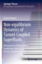 Marine Pigneur - Non-equilibrium Dynamics of Tunnel-Coupled Superfluids