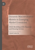 Daniel Lukui Jia - Dynamic Macroeconomic Models in Emerging Market Economies