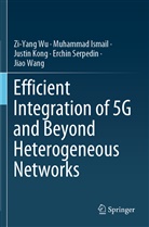 Muhamma Ismail, Muhammad Ismail, Justin Kong, Justin et al Kong, Erchin Serpedin, Jiao Wang... - Efficient Integration of 5G and Beyond Heterogeneous Networks