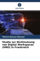 Thierno Moussa Diaouné - Studie zur Nichtnutzung von Digital Workspaces (HNO) in Frankreich