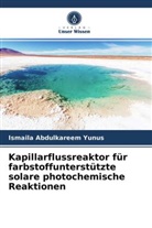 Ismaila Abdulkareem Yunus - Kapillarflussreaktor für farbstoffunterstützte solare photochemische Reaktionen