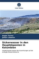 Johan Lobaton, Angi Torres, Angie Torres - Sickerwasser in den Hauptdeponien in Kolumbien