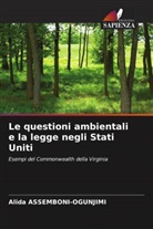Alida ASSEMBONI-OGUNJIMI - Le questioni ambientali e la legge negli Stati Uniti