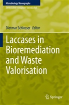 Dietma Schlosser, Dietmar Schlosser - Laccases in Bioremediation and Waste Valorisation