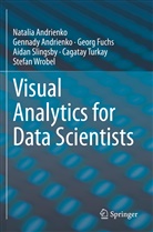 Gennad Andrienko, Gennady Andrienko, Natali Andrienko, Natalia Andrienko, Georg Fuchs, Aidan Slingsby... - Visual Analytics for Data Scientists