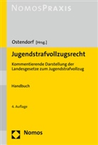 Heriber Ostendorf, Heribert Ostendorf - Jugendstrafvollzugsrecht