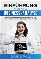 David J Paul, David J. Paul - Einführung in die agile Business-Analyse