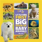 Maya Myers - National Geographic Little Kids First Big Book of Baby Animals