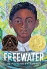 Amina Luqman-Dawson - Freewater