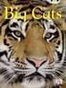 Sarah Walker - BC NF Brown B/3B Big Cats