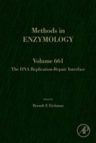 Brandt Eichman - Dna Replication-Repair Interface