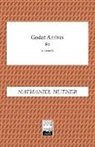 Nathaniel Hutner - Godot Arrives