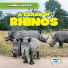 Seth Lynch - A Crash of Rhinos