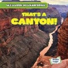 Dwayne Hicks - That's a Canyon!