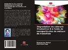Kuppusamy Mohan, Manickam Raja - Dégradation du colorant Rhodamine B à l'aide de nanoparticules de métaux de transition