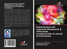 Kuppusamy Mohan, Manickam Raja - Degradazione del colorante Rhodamine B utilizzando nanoparticelle di metalli di transizione