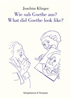 Joachim Klinger - Wie sah Goethe aus? What did Goethe look like?