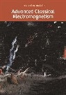 Robert Wald - Advanced Classical Electromagnetism