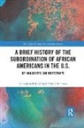 Elizabeth Lassar, Elizabeth (BPI Lassar, Alexander Polikoff, Alexander (Bpi Polikoff, Polikoff Alexander - Brief History of the Subordination of African Americans in the U.s.