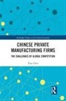 Xiao Chen, Xiao (Southwest Texas State University Chen - Chinese Private Manufacturing Firms