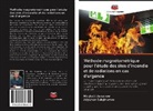 Adylzhan Sulejmanow, Mirzhalil Usmanow - Méthode magnétométrique pour l'étude des sites d'incendie et de radiations en cas d'urgence